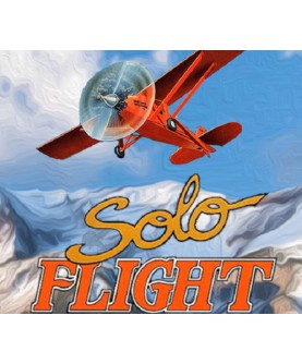 Solo Flight GOG.com Key GLOBAL